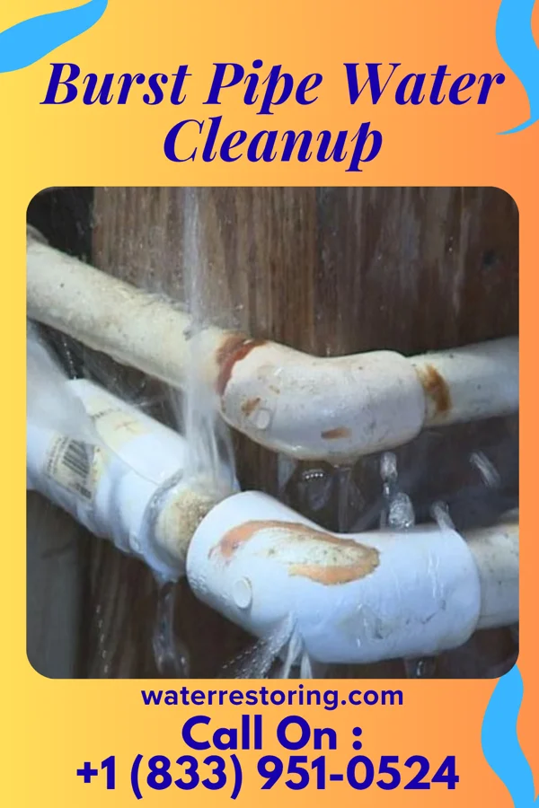 Burst Pipe Water Cleanup in Alexandria, SD