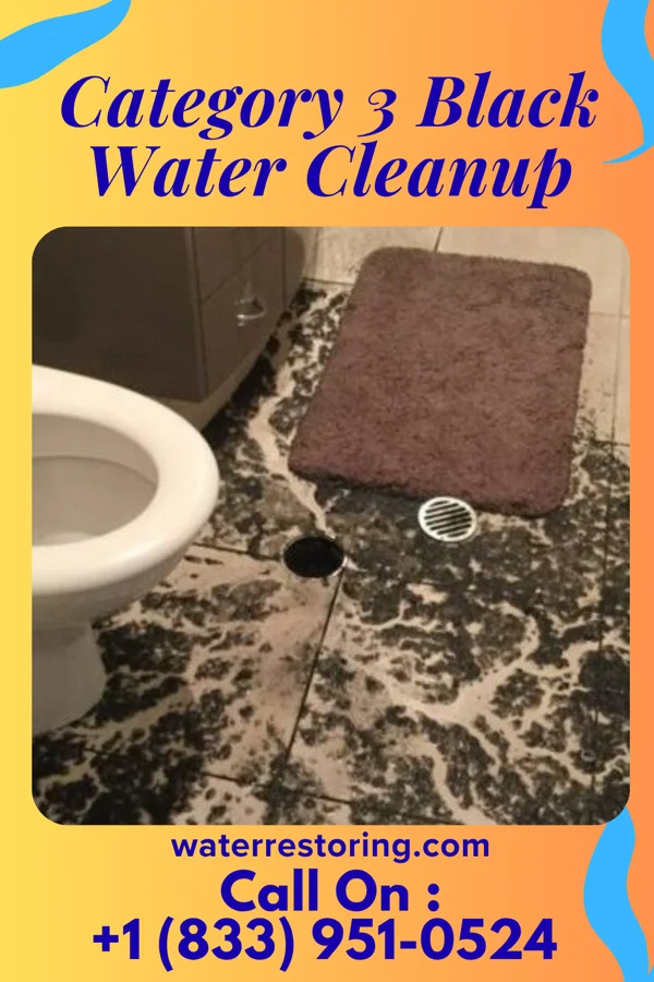 Category 3 Black Water Cleanup in Alexandria, SD